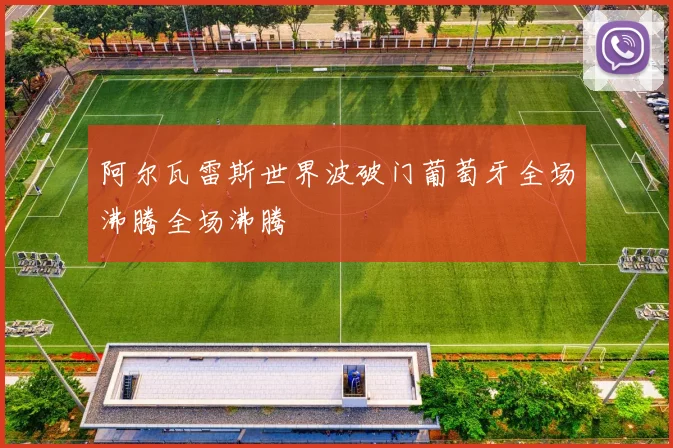 阿尔瓦雷斯世界波破门葡萄牙全场沸腾全场沸腾