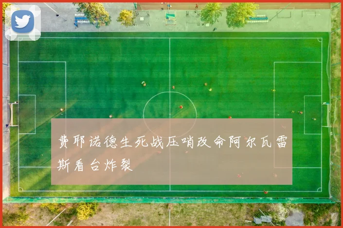 费耶诺德生死战压哨改命阿尔瓦雷斯看台炸裂