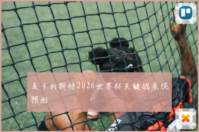 麦卡利斯特2026世界杯关键战表现预测