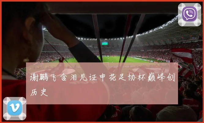 谢鹏飞含泪见证申花足协杯巅峰创历史