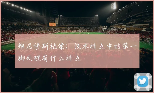 维尼修斯档案：技术特点中的第一脚处理有什么特点