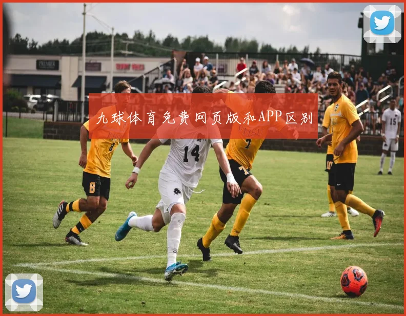 九球体育免费网页版和APP区别