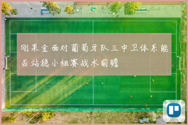 刚果金面对葡萄牙队三中卫体系能否站稳小组赛战术前瞻