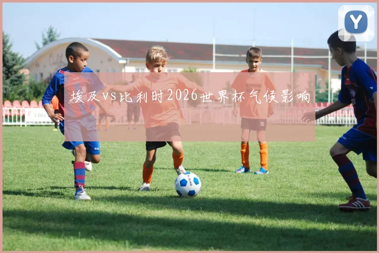 埃及vs比利时2026世界杯气候影响