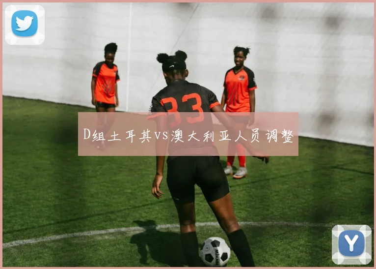 D组土耳其vs澳大利亚人员调整