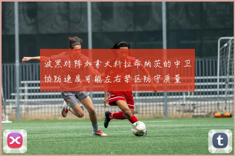 波黑对阵加拿大科拉希纳茨的中卫协防速度可能左右禁区防守质量