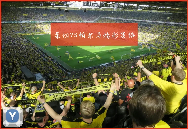 莱切vs帕尔马精彩集锦